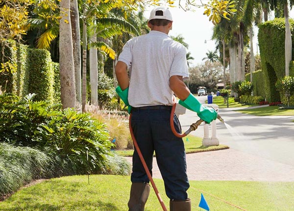 About Stanford MT Pest Control Pros